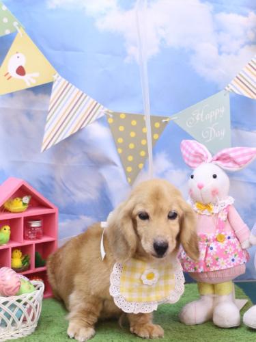 20240319バナナちゃん